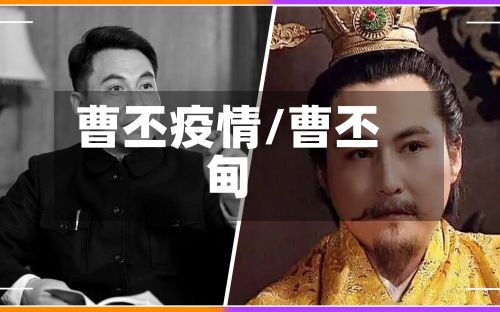 曹丕疫情/曹丕甸