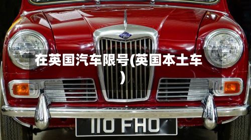 在英国汽车限号(英国本土车)-第2张图片