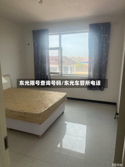 东光限号查询号码/东光车管所电话-第2张图片