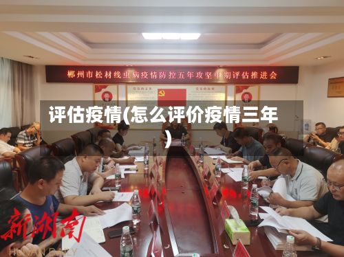 评估疫情(怎么评价疫情三年)-第2张图片