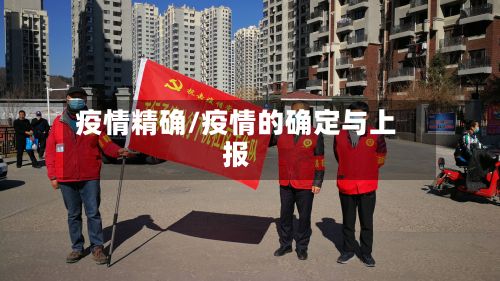 疫情精确/疫情的确定与上报-第3张图片