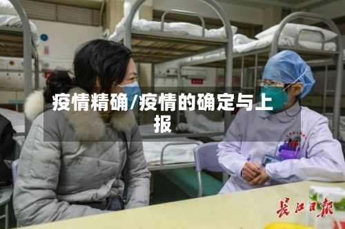 疫情精确/疫情的确定与上报-第2张图片