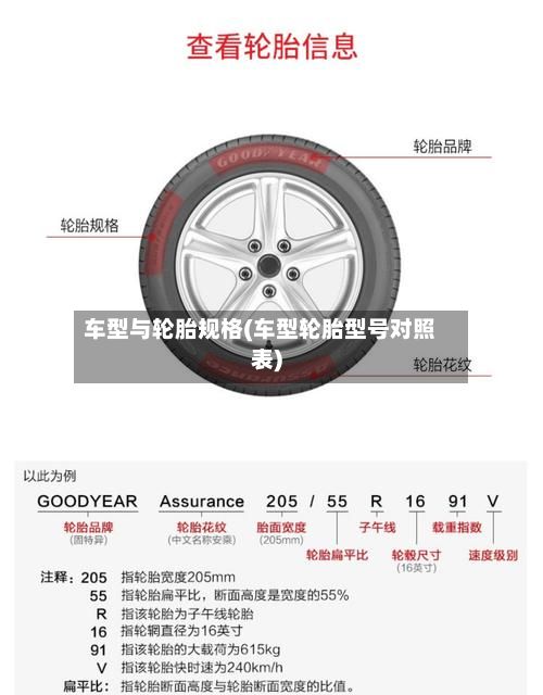 车型与轮胎规格(车型轮胎型号对照表)-第2张图片