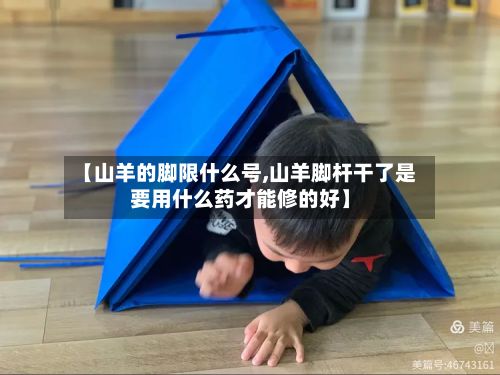 【山羊的脚限什么号,山羊脚杆干了是要用什么药才能修的好】
