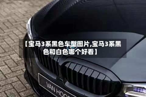 【宝马3系黑色车型图片,宝马3系黑色和白色哪个好看】-第3张图片