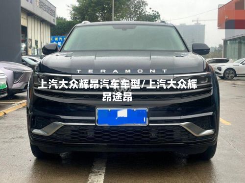 上汽大众辉昂汽车车型/上汽大众辉昂途昂