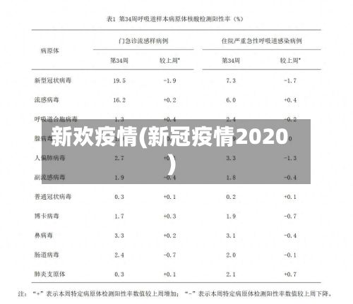 新欢疫情(新冠疫情2020)