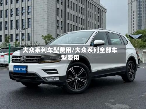 大众系列车型费用/大众系列全部车型费用-第2张图片