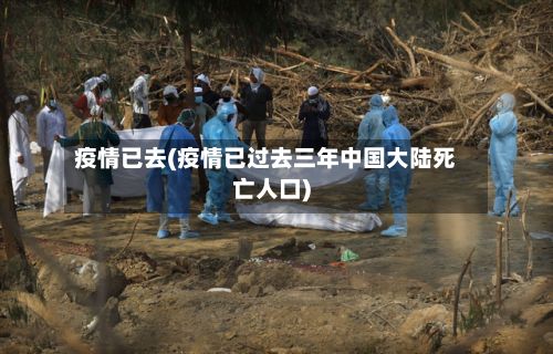 疫情已去(疫情已过去三年中国大陆死亡人口)