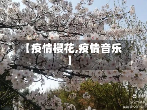 【疫情樱花,疫情音乐】