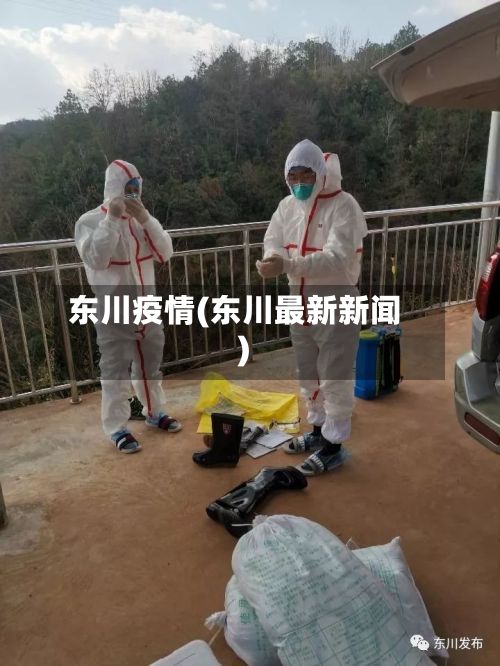 东川疫情(东川最新新闻)