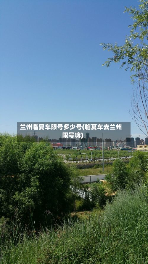 兰州临夏车限号多少号(临夏车去兰州限号嘛)-第2张图片
