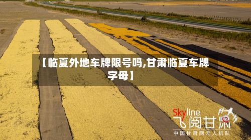 【临夏外地车牌限号吗,甘肃临夏车牌字母】