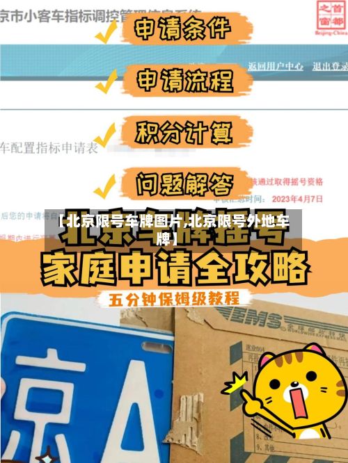 【北京限号车牌图片,北京限号外地车牌】