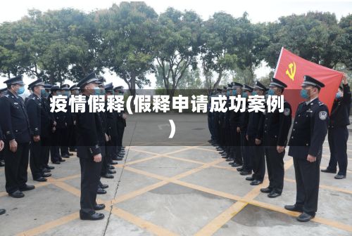 疫情假释(假释申请成功案例)