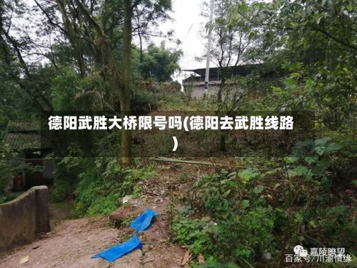 德阳武胜大桥限号吗(德阳去武胜线路)-第3张图片