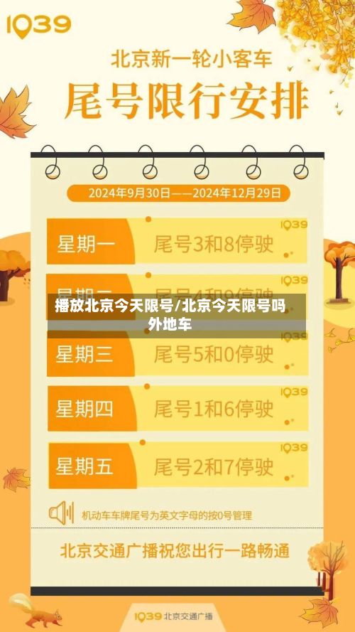 播放北京今天限号/北京今天限号吗外地车-第2张图片