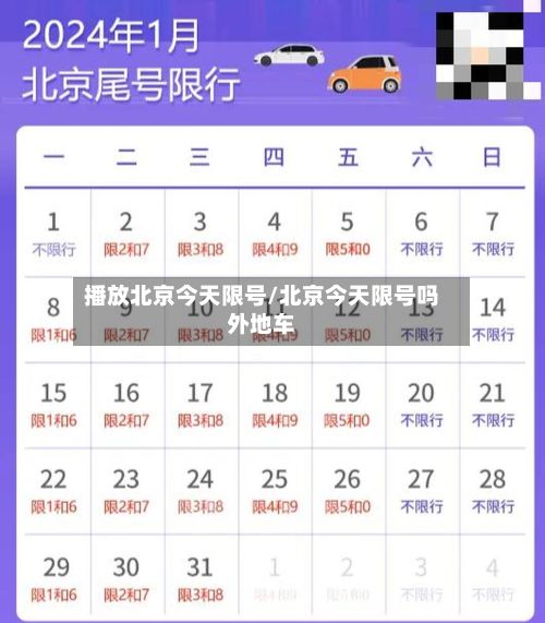 播放北京今天限号/北京今天限号吗外地车-第3张图片