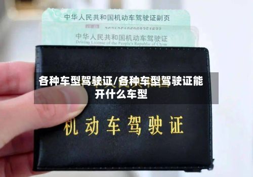 各种车型驾驶证/各种车型驾驶证能开什么车型-第3张图片