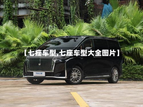 【七痤车型,七座车型大全图片】-第3张图片