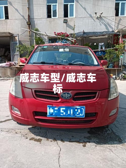 威志车型/威志车标
