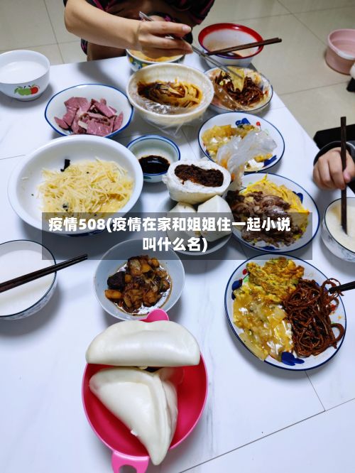 疫情508(疫情在家和姐姐住一起小说叫什么名)