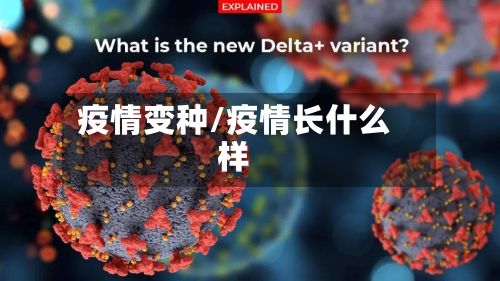 疫情变种/疫情长什么样