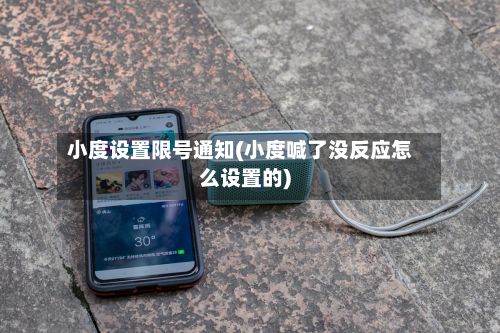 小度设置限号通知(小度喊了没反应怎么设置的)