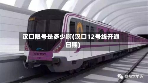 汉口限号是多少啊(汉口12号线开通日期)