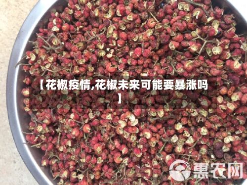【花椒疫情,花椒未来可能要暴涨吗】-第2张图片