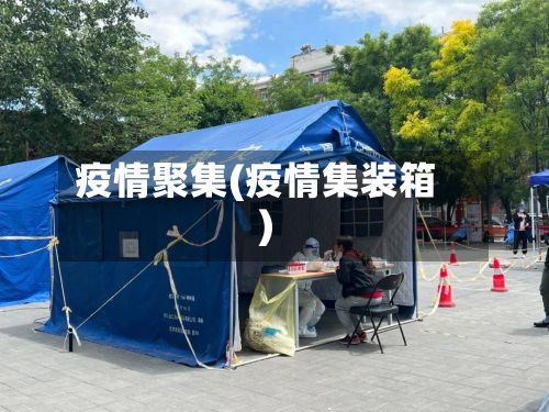 疫情聚集(疫情集装箱)-第2张图片