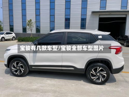 宝骏有几款车型/宝骏全部车型图片-第3张图片