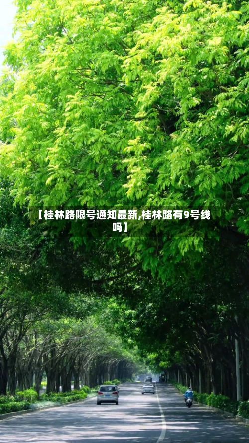 【桂林路限号通知最新,桂林路有9号线吗】-第2张图片