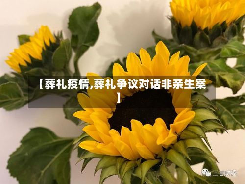 【葬礼疫情,葬礼争议对话非亲生案】