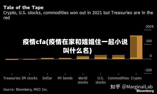 疫情cfa(疫情在家和姐姐住一起小说叫什么名)-第3张图片