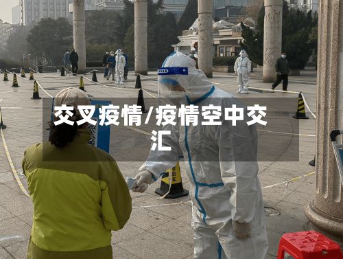 交叉疫情/疫情空中交汇