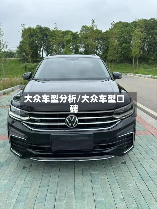 大众车型分析/大众车型口碑
