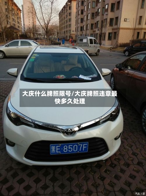 大庆什么牌照限号/大庆牌照违章最快多久处理