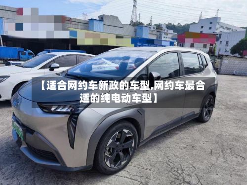 【适合网约车新政的车型,网约车最合适的纯电动车型】