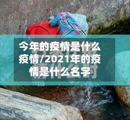 今年的疫情是什么疫情/2021年的疫情是什么名字-第2张图片