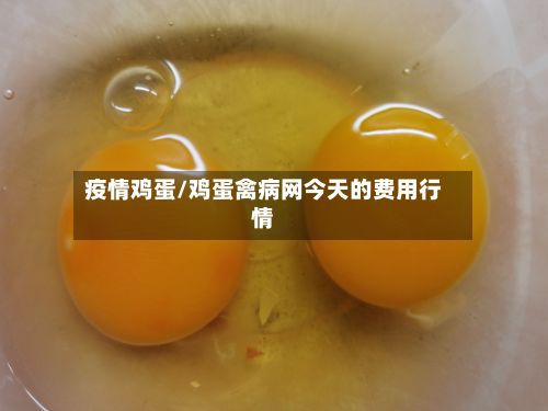疫情鸡蛋/鸡蛋禽病网今天的费用行情