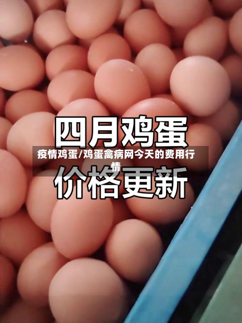疫情鸡蛋/鸡蛋禽病网今天的费用行情-第3张图片