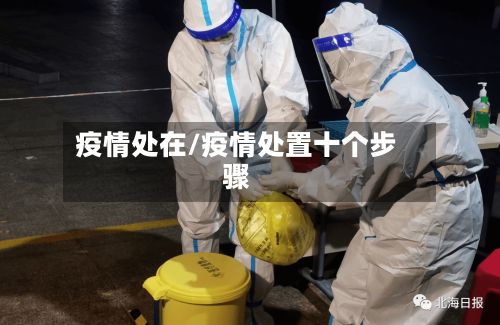 疫情处在/疫情处置十个步骤-第2张图片