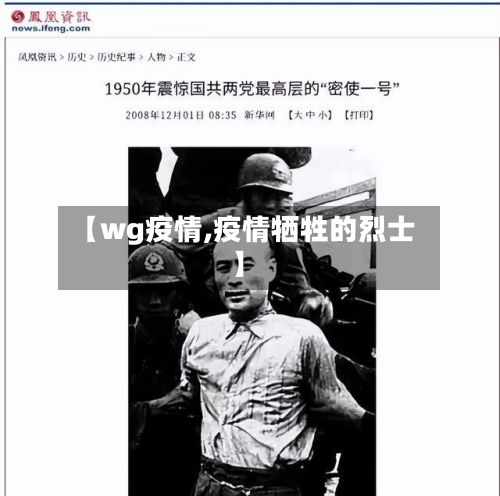 【wg疫情,疫情牺牲的烈士】