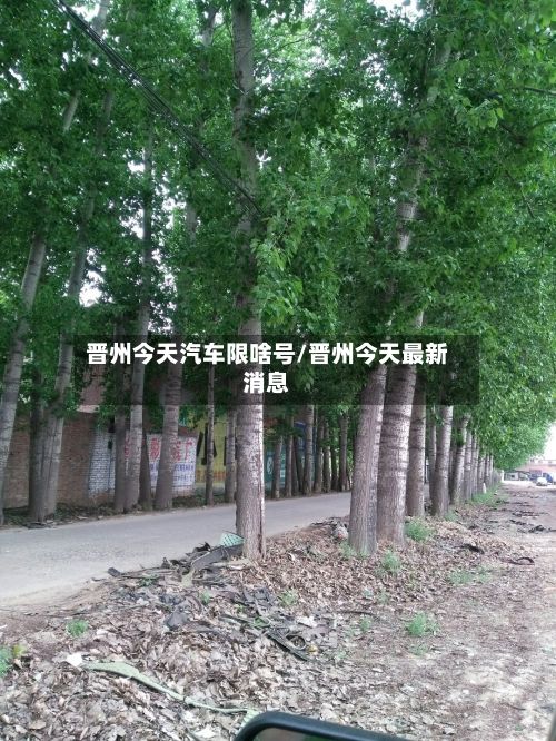 晋州今天汽车限啥号/晋州今天最新消息-第3张图片