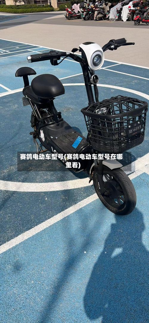 赛鸽电动车型号(赛鸽电动车型号在哪里看)-第2张图片