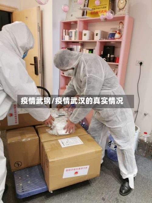 疫情武钢/疫情武汉的真实情况-第2张图片