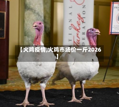 【火鸡疫情,火鸡市场价一斤2026】