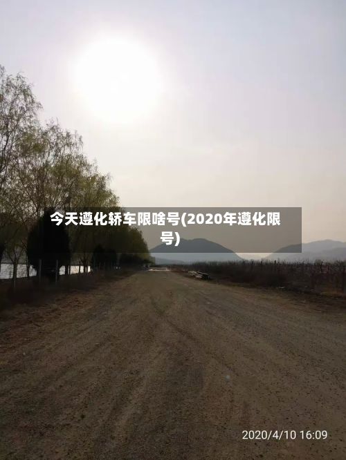 今天遵化轿车限啥号(2020年遵化限号)-第3张图片