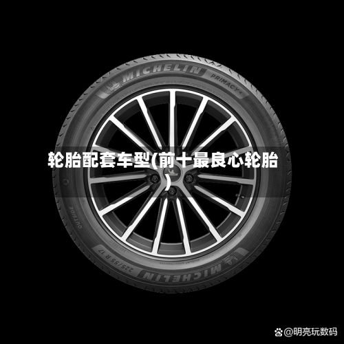 轮胎配套车型(前十最良心轮胎)-第2张图片